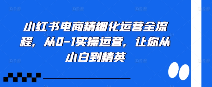 小红书电商精细化运营全流程，从0-1实操运营，让你从小白到精英——生财有道创业项目网-生财有道