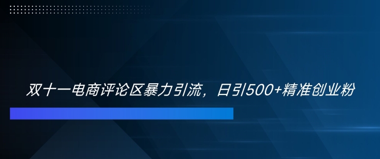 双十一电商评论区暴力引流，日引500+精准创业粉【揭秘】——生财有道创业项目网-生财有道