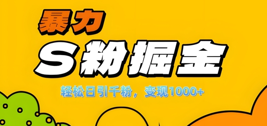 单人单机日引千粉，变现1k+，S粉流量掘金计划攻略【揭秘】——生财有道创业项目网-生财有道