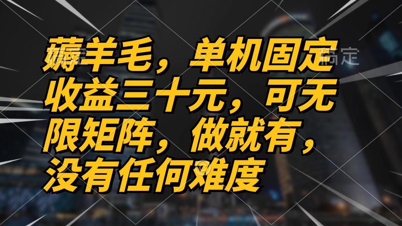 （13162期）薅羊毛项目，单机三十元，做就有，可无限矩阵 无任何难度_生财有道创业项目网-生财有道