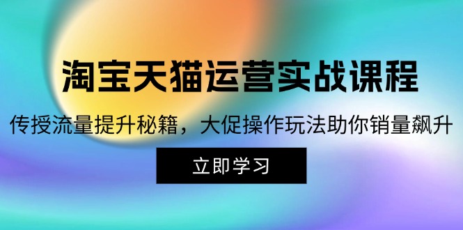 （12959期）淘宝&天猫运营实战课程，传授流量提升秘籍，大促操作玩法助你销量飙升_生财有道创业项目网-生财有道