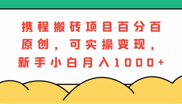 携程搬砖项目，百分百原创，可实操变现，新手小白月入1000+_生财有道创业网-生财有道