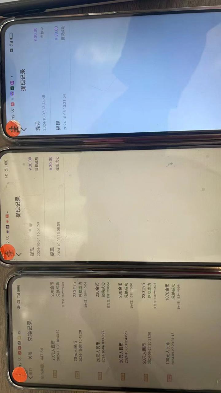（12953期）语聊自刷掘金，当天学会，当天见收益，轻松日入300+_生财有道创业项目网-生财有道