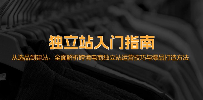 独立站入门指南：从选品到建站，全面解析跨境电商独立站运营技巧与爆品打造方法_生财有道创业网-生财有道