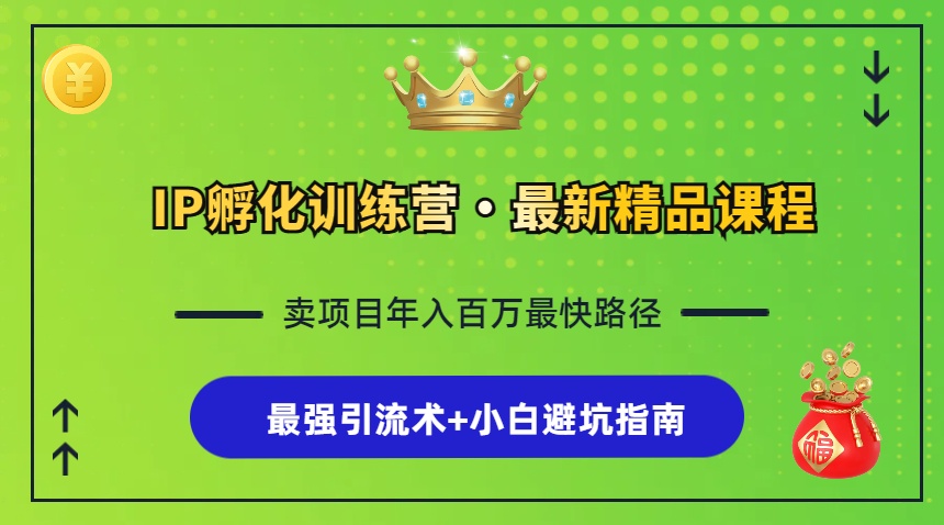 （13055期）IP孵化训练营，知识付费全流程+最强引流术+小白避坑指南_生财有道创业项目网-生财有道