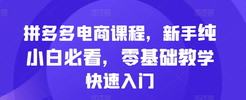 拼多多电商课程，新手纯小白必看，零基础教学快速入门_生财有道创业网-生财有道