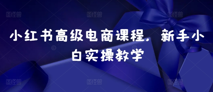 小红书高级电商课程，新手小白实操教学_生财有道创业网-生财有道