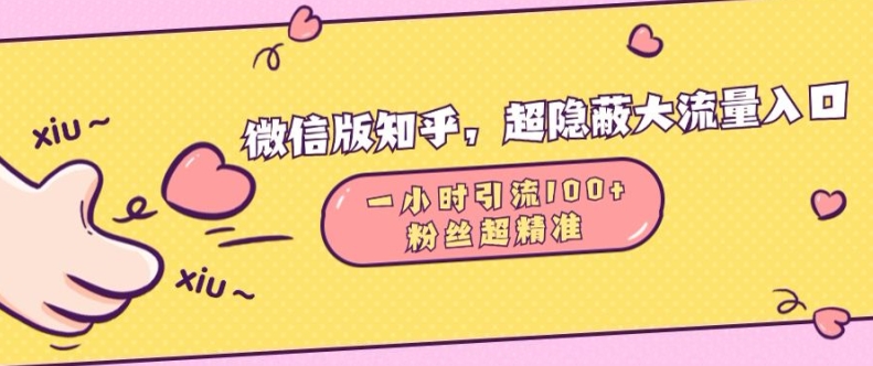 微信版知乎，超隐蔽流量入口1小时引流100人，粉丝质量超高【揭秘】_生财有道创业网-生财有道