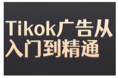 Tiktok Ads实操教程，Tiktok广告从入门到精通_生财有道创业网-生财有道