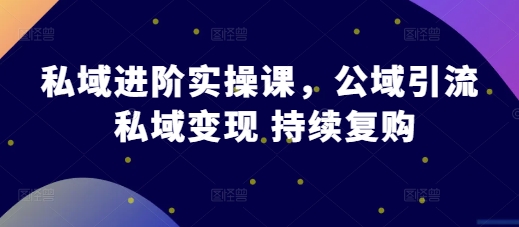 私域进阶实操课，公域引流 私域变现 持续复购_生财有道创业网-生财有道