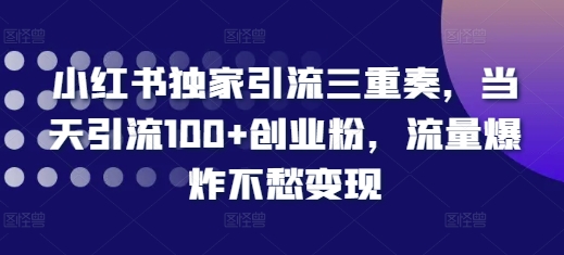 小红书独家引流三重奏，当天引流100+创业粉，流量爆炸不愁变现【揭秘】_生财有道创业网-生财有道