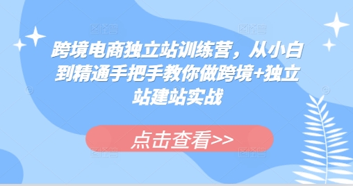 跨境电商独立站训练营，从小白到精通手把手教你做跨境+独立站建站实战_生财有道创业网-生财有道