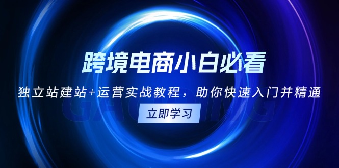 （13503期）跨境电商小白必看！独立站建站+运营实战教程，助你快速入门并精通_生财有道创业项目网-生财有道