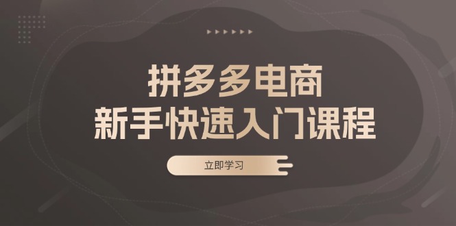 （13289期）拼多多电商新手快速入门课程：涵盖基础、实战与选款，助力小白轻松上手_生财有道创业项目网-生财有道