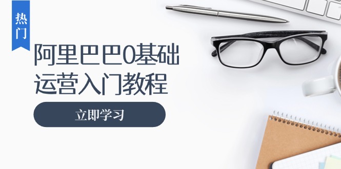 （13291期）阿里巴巴运营零基础入门教程：涵盖开店、运营、推广，快速成为电商高手_生财有道创业项目网-生财有道