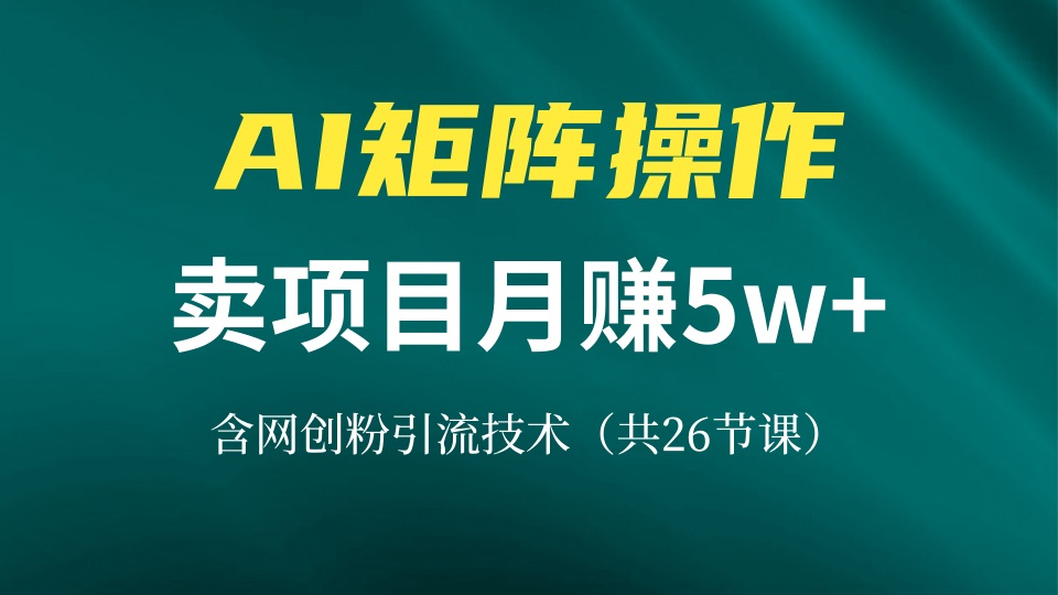 （13335期）网创IP打造课，借助AI卖项目月赚5万+，含引流技术（共26节课）_生财有道创业项目网-生财有道