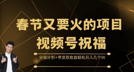 春节又要火的项目视频号祝福，分成计划+带货双收益，轻松月入几个W【揭秘】_生财有道创业网-生财有道