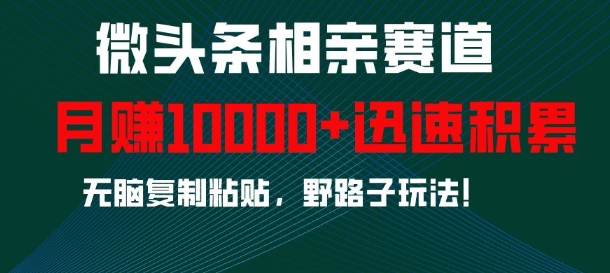 微头条相亲赛道，迅速积累，无脑复制粘贴，野路子玩法，月入1w_生财有道创业网-生财有道