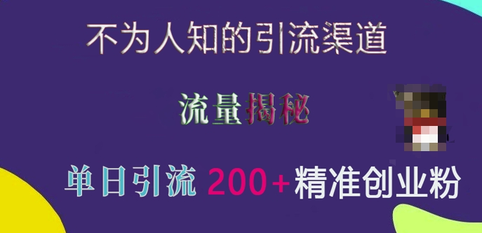 不为人知的引流渠道，流量揭秘，实测单日引流200+精准创业粉【揭秘】_生财有道创业网-生财有道