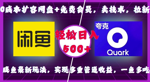 0成本扩容网盘+免费会员，卖技术，拉新，咸鱼最新玩法，实现多重管道收益，一鱼多吃，轻松日入500+_生财有道创业网-生财有道