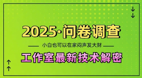 2025问卷调查最新工作室技术解密：一个人在家也可以闷声发大财，小白一天2张，可矩阵放大【揭秘】_生财有道创业网-生财有道