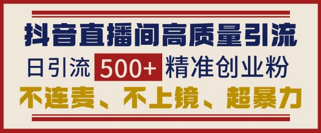 抖音直播间引流创业粉，无需连麦、不用上镜、超暴力，日引流500+高质量精准创业粉_生财有道创业网-生财有道