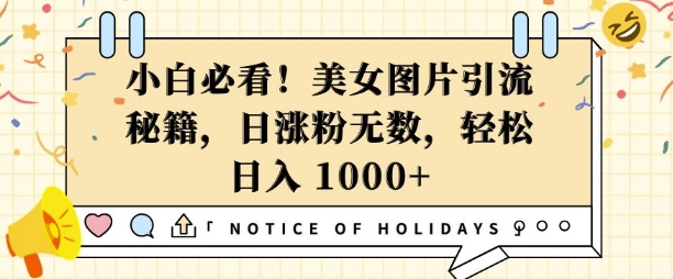小白必看，美女图片引流秘籍，日涨粉无数，轻松日入几张【揭秘】_生财有道创业网-生财有道