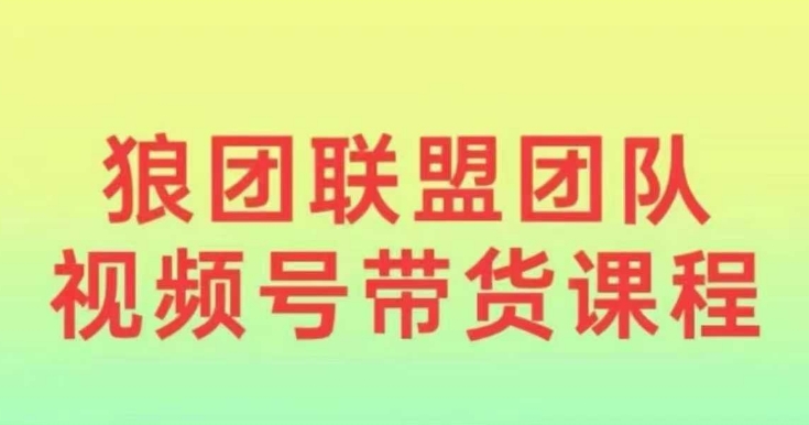 狼团联盟2024视频号带货，0基础小白快速入局视频号——生财有道创业项目网-生财有道