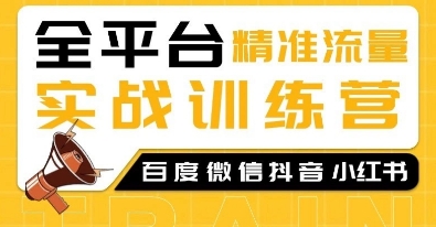 全平台精准流量实战训练营，百度微信抖音小红书SEO引流教程——生财有道创业项目网-生财有道