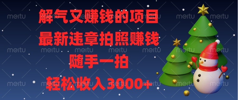 （13686期）解气又赚钱的项目，最新违章拍照赚钱，随手一拍，轻松收入3000+_生财有道创业项目网-生财有道