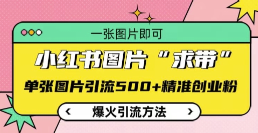 小红书图片‘求带’爆火引流法，单张图片引流500+精准创业粉【揭秘】_生财有道创业网-生财有道