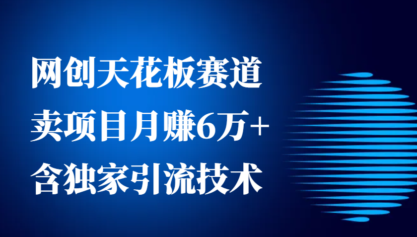 网创天花板赛道，卖项目月赚6万+，含独家引流技术（共26节课）_生财有道创业网-生财有道