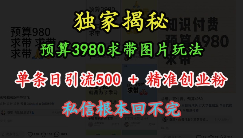 预算3980求带 图片玩法，单条日引流500+精准创业粉，私信根本回不完_生财有道创业网-生财有道