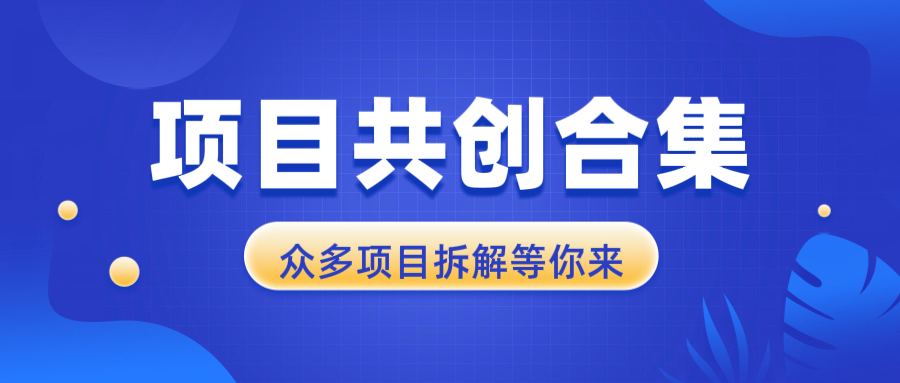 （13778期）项目共创合集，从0-1全过程拆解，让你迅速找到适合自已的项目_生财有道创业项目网-生财有道