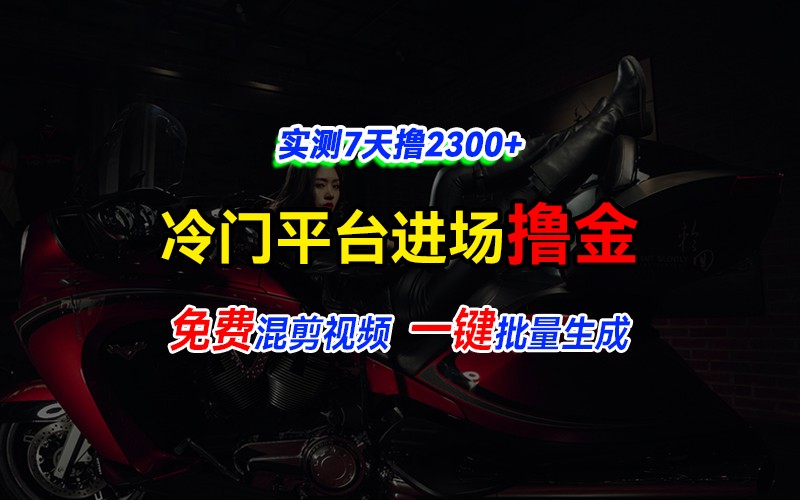 全新冷门平台vivo视频，快速免费进场搞米，通过混剪视频一键批量生成，实测7天撸2300+_生财有道创业网-生财有道