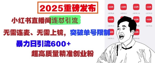 2025重磅发布：小红书直播间连怼引流，无需连麦、无需上镜，突破单号限制，暴力日引流600+——生财有道创业项目网-生财有道