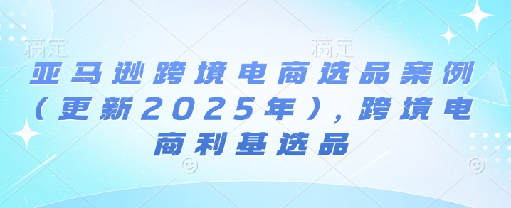 亚马逊跨境电商选品案例(更新2025年)，跨境电商利基选品——生财有道创业项目网-生财有道