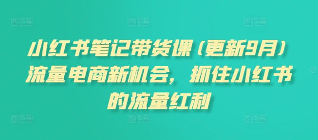 小红书笔记带货课(更新25年1月)流量电商新机会，抓住小红书的流量红利——生财有道创业项目网-生财有道