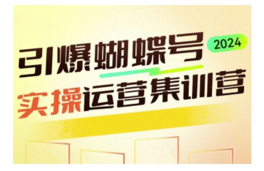 引爆蝴蝶号实操运营，助力你深度掌握蝴蝶号运营，实现高效实操，开启流量变现之路——生财有道创业项目网-生财有道