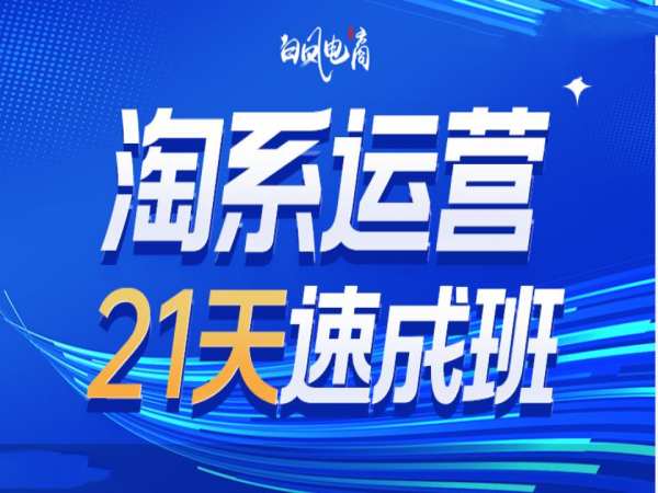 淘系运营21天速成班35期，年前最后一波和2025方向——生财有道创业项目网-生财有道