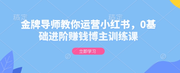 金牌导师教你运营小红书，0基础进阶赚钱博主训练课——生财有道创业项目网-生财有道