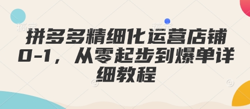 拼多多精细化运营店铺0-1，从零起步到爆单详细教程——生财有道创业项目网-生财有道