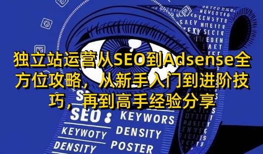 独立站运营从SEO到Adsense全方位攻略，从新手入门到进阶技巧，再到高手经验分享——生财有道创业项目网-生财有道