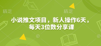 小说推文项目，新人操作6天，每天3位数分享课——生财有道创业项目网-生财有道
