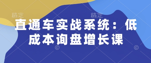 直通车实战系统：低成本询盘增长课，让个人通过技能实现升职加薪，让企业低成本获客，订单源源不断——生财有道创业项目网-生财有道