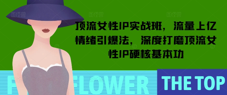 顶流女性IP实战班，流量上亿情绪引爆法，深度打磨顶流女性IP硬核基本功——生财有道创业项目网-生财有道