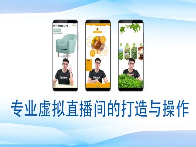 个人虚拟直播间的搭建与操作，专业虚拟直播间的打造与操作——生财有道创业项目网-生财有道
