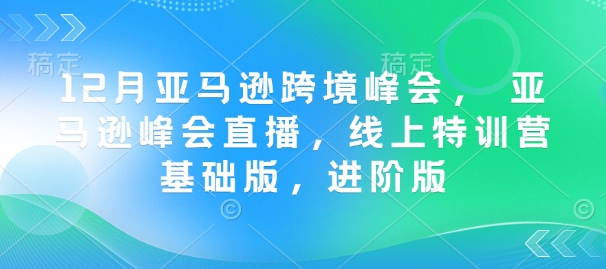 12月亚马逊跨境峰会， 亚马逊峰会直播，线上特训营基础版，进阶版——生财有道创业项目网-生财有道