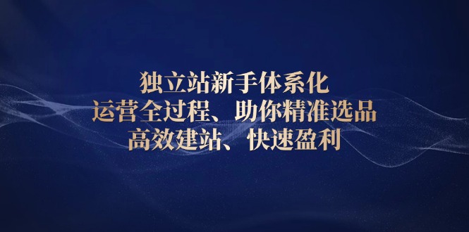 （13914期）独立站新手体系化 运营全过程，助你精准选品、高效建站、快速盈利_生财有道创业项目网-生财有道