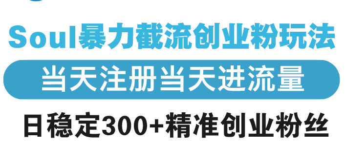 （13935期）Soul暴力截流创业粉玩法，当天注册当天进流量，日稳定300+精准创业粉丝_生财有道创业项目网-生财有道